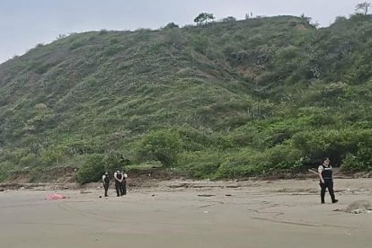El primer hallazgo se registró en la playa La Tiñosa, zona rural de Manta