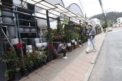 Los viveros son el negocio principal de las familias que aquí habitan.