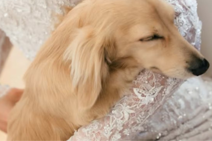 Leo Leclerc, el invitado especial en la boda de Charles Leclerc y Alexandra Saint Mleux