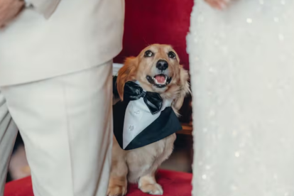 Leo fue el principal testigo de la boda de sus padres Charles Leclerc y Alexandra Saint Mleux