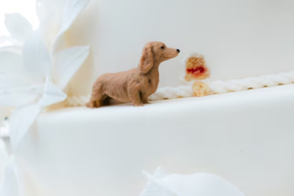 Leo fue el protagonista indiscutido de la boda de Charles Leclerc. Estuvo presente hasta en la torta de boda.