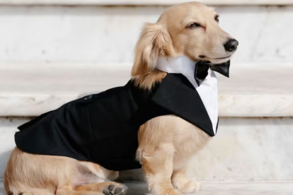Así de elegante estuvo Leo Leclerc en la boda de sus padres.