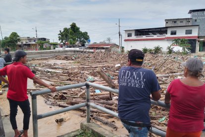Preocupación en Salitre por gran cantidad de palizada acumulada junto a puente.