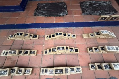 Entre las evidencias constan bloques de sustancias.