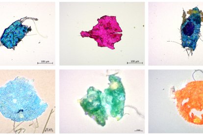 Fragmentos de microplásticos detectados en sales comestibles en Guayaquil.