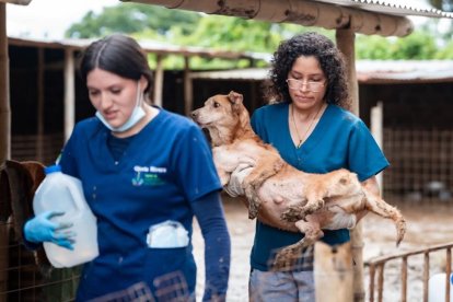 Estudiantes de la ESPAM acudieron para brindar atención veterinaria a los perritos del albergue Callejeritos