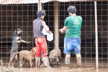 El albergue fue afectado por la creciente del Río Garrapata, en Chone