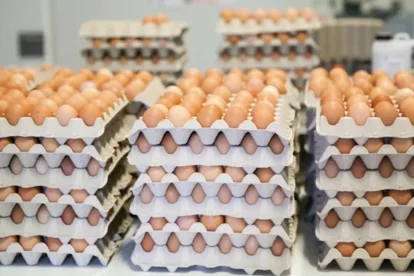 Los huevos deben guardarse siempre en el frigorífico