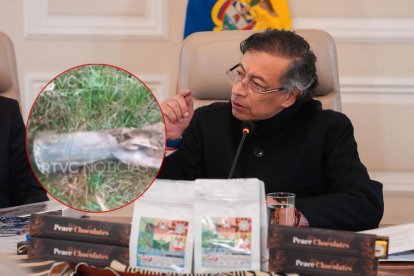 El Presidente de Colombia, Gustavo Petro, insiste en que su país fue bombardeado desde Ecuador.