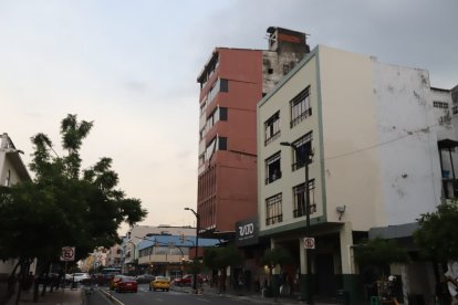 La escena generó alarma entre peatones y trabajadores del sector.