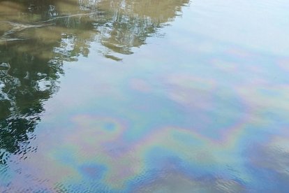 Película iridiscente de hidrocarburos sobre el río Viche, mientras aves sobrevuelan la zona afectada, reflejando el impacto ambiental en la fauna local.