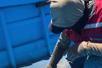 Las embarcaciones de fibra de vidrio presentaban dobles fondos para almacenas sustancias