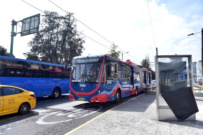 Compra de trolebuses en Quito: Pabel Muñoz asegura transparencia y ahorro millonario