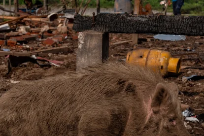 Los militares regresaron el 6 de marzo para lanzar explosivos sobre las ruinas ya quemadas