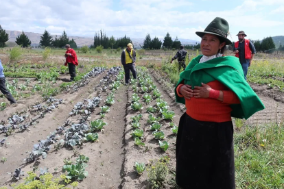 Agricultura, ganadería y silvicultura con una expansión de 8,6%, reflejando el buen desempeño de las actividades primarias
