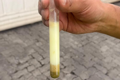 Técnicos del laboratorio criminalístico realizaron pruebas para confirmar la presencia de clorhidrato de cocaína en el cargamento.