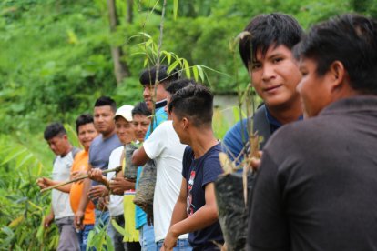 Comuneros chachis participan en jornada de reforestación, pasando plantas de mano en mano como símbolo de unidad y compromiso con la conservación ambiental.