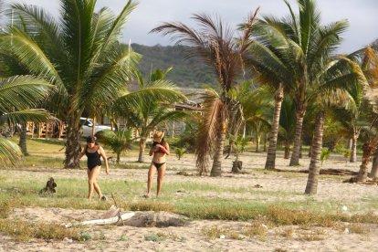 En la playa de San Antonio ha plantado palmeras y que proyecte esa imagen de hace medio siglo atrás.