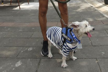 Capitán, la mascota de Éder Ríos, terminó portando la medalla de la carrera de 5K.