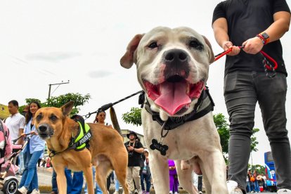 Oraciones y cánticos y mascotas acompañaron el paso de la procesión por sectores estratégicos del norte durante la mañana.