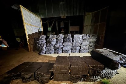 Cargamento de cocaína tenía destino internacional, según autoridades.