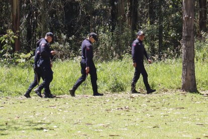 Varios equipos de emergencia se unieron a la búsqueda del extranjero.