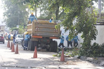 Vista del sector de Sauces 3, en el norte de Guayaquil, donde una rama de gran tamaño cayó sobre vehículos y una escuela.