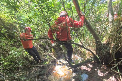 Bomberos recorren lugares de difícil acceso para ubicar al extranjero.