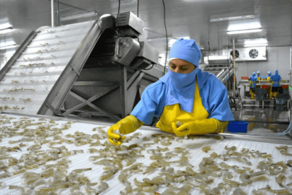 Antecedentes sanitarios en la industria del camarón han incrementado la preocupación ante nuevas alertas