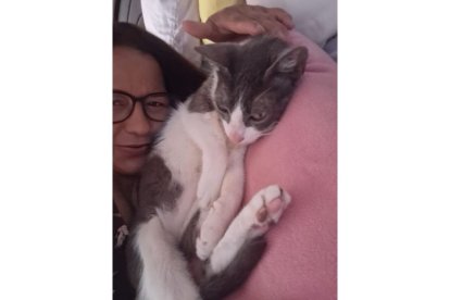 Félix padecía de megacolon y pancreatitis, por lo que requería medicación diaria que Delia siempre le administraba.