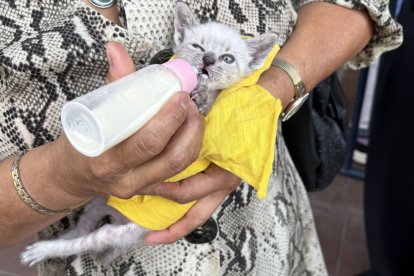 Delia alimenta a Félix Moisés con biberón varias veces al día, llevándolo consigo 