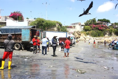 Personas que trabajan en la actividad pesquera se ven afectados por la disminución de las faenas.