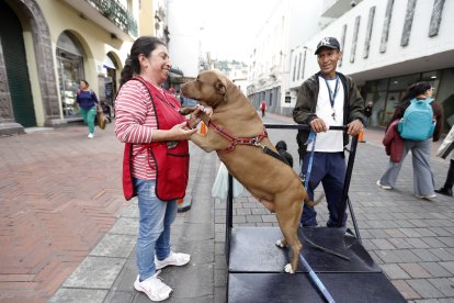 Canela es muy querida por los vecinos.