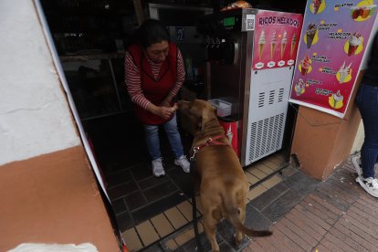 Durante el recorrido hacen paradas técnicas para ser mimados por los vecinos.