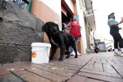 Los dueños de locales les regalan agua para la sed.