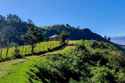 El Ilaló no solo resguarda biodiversidad, también regula el clima y el agua en una ciudad cada vez más presionada por el crecimiento urbano