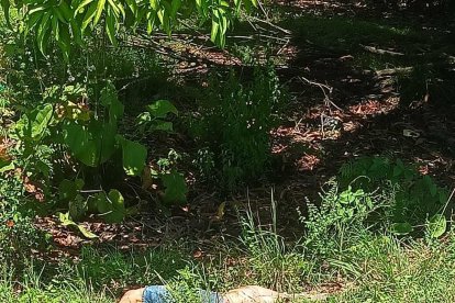 En uno de los casos, un joven fue hallado golpeado y sin vida en Santa Lucía.