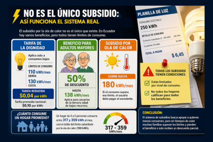 Los subsidios eléctricos en Ecuador están diseñados para usuarios de bajo consumo