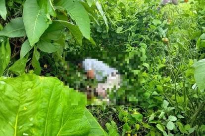Uno de los hombres asesinados quedó en un área con maleza.