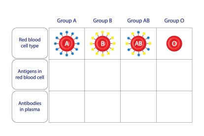 Existen más de 300 antígenos
