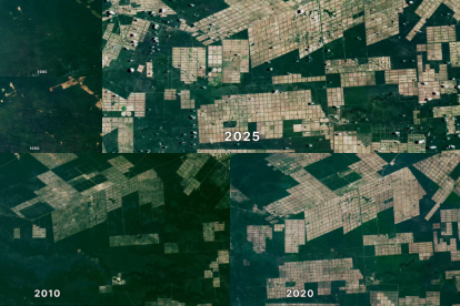 Imágenes del programa Landsat program de la NASA