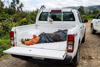 Personal de Criminalística realizó el levantamiento del cadáver, mientras la Policía y la Dinased avanzan en las investigaciones para identificar a la víctima.