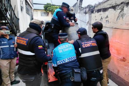 Los dueños de los locales pueden ser sancionados administrativamente.