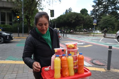 Crisis de buses en Quito: Caos, demoras e inconformidad de usuarios ...
