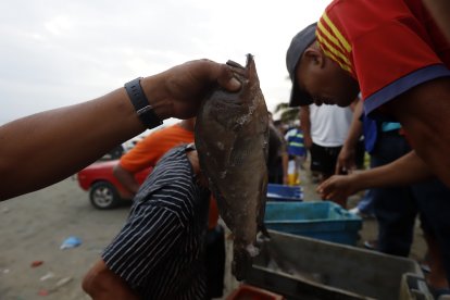 Pescadores enfrentan jornadas irregulares, gastos constantes y el riesgo de perder sus equipos por robos.