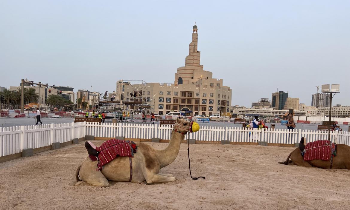 Si le da pereza o se quedó sin dinero para el tour por el desierto, puede tomarse la foto en el centro de Doha con el camello.