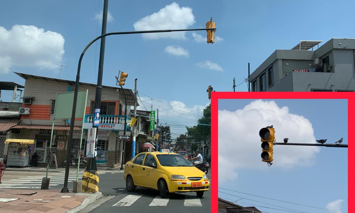 Los semáforos de las calles Lizardo García y la A, en Guayaquil, están sin funcionar, aparentemente, desde hace un mes.