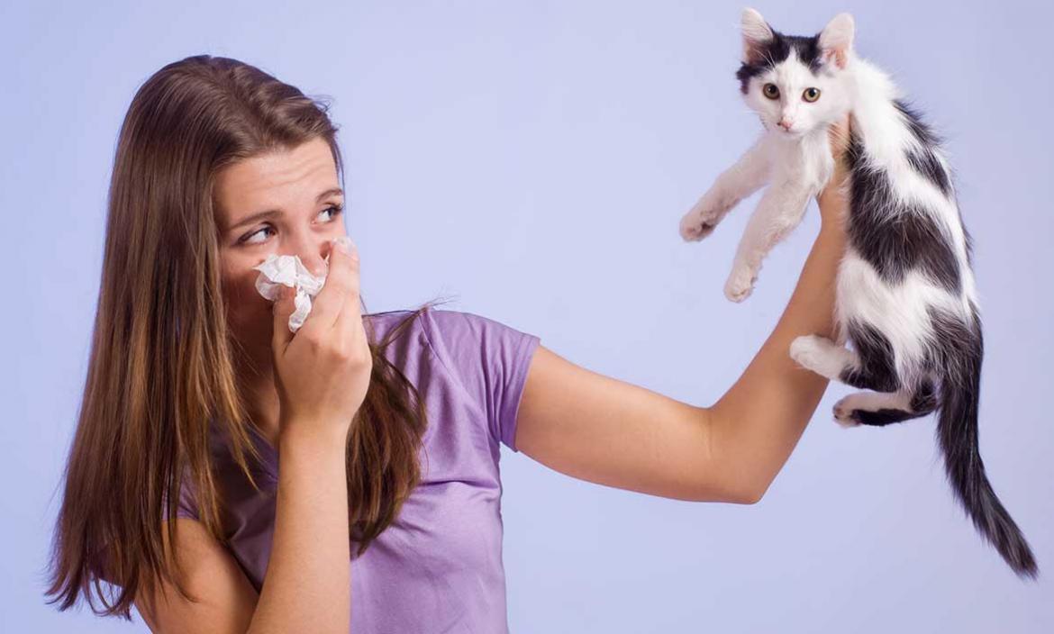 Imagen thumbnail_alergia