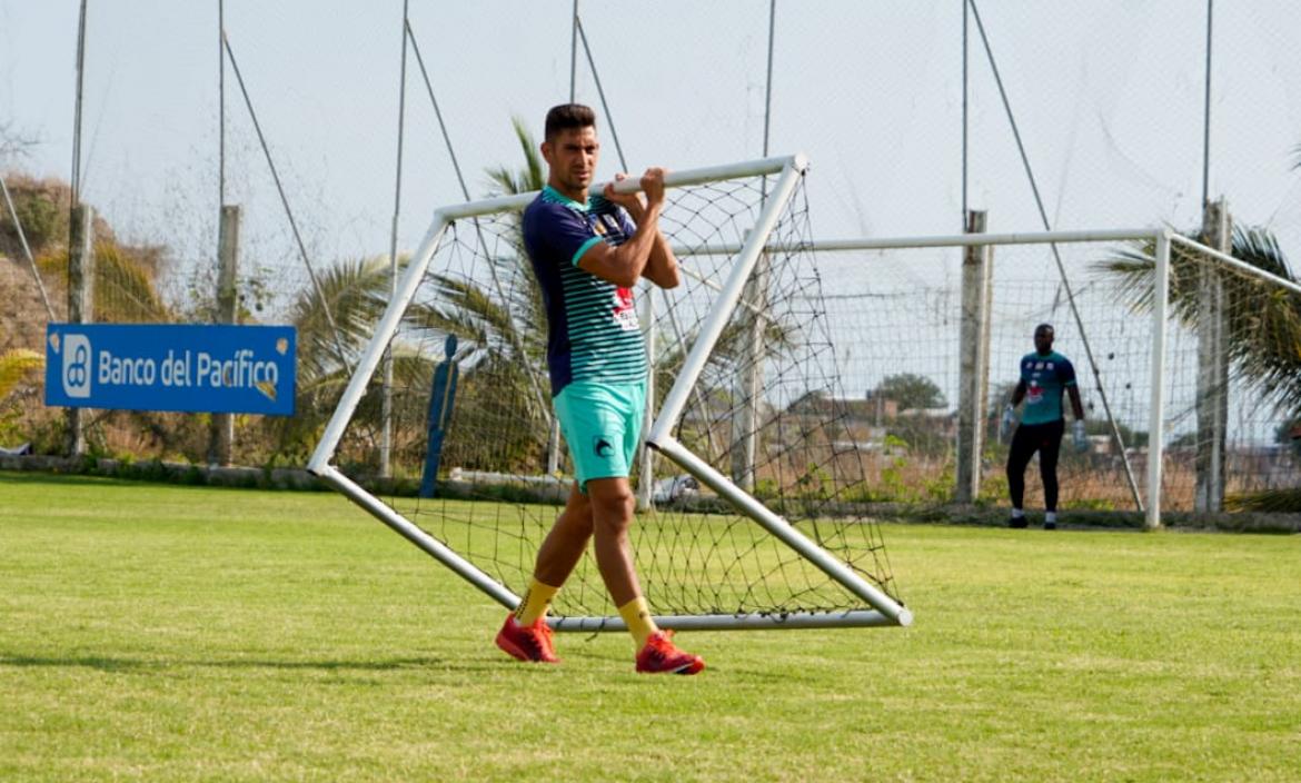 Imagen Bruno Piñatares - Delfín
