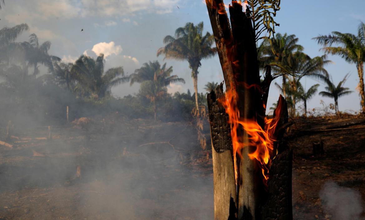 A tract of Amazon jungle is seen burning as it is being cleared by loggers and farmers in Iranduba